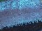 1 Yard Royal Blue/Black Long Teardrop Sequins Fabric on Black Mesh 50/52 Inch Width